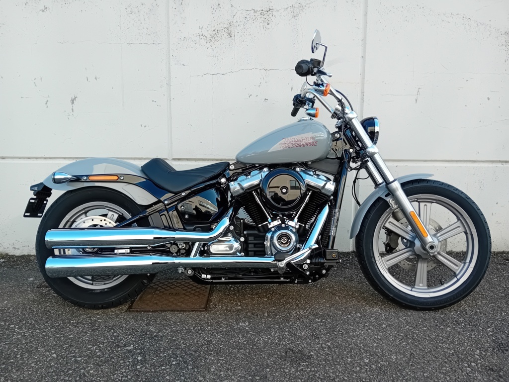 Harley Davidson Softail® Standard BILLIARD GRAY