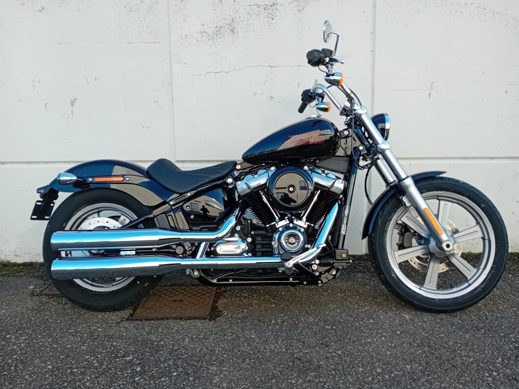 Harley Davidson Standard 